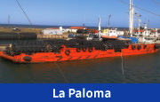 La Paloma